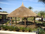 coberturas (28)